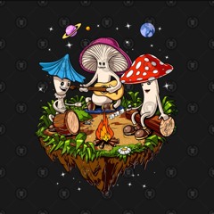 Crzy Mushroom Guy