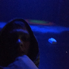 Noah