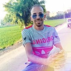 السيد ابووعد