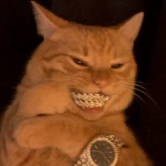 benzoabuser
