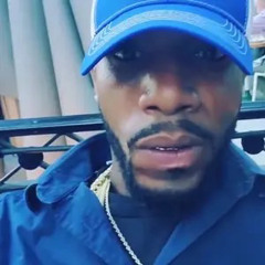 QLAND THE DON THE ART OF FREESTYLEING