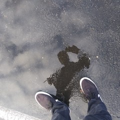 Fool Blooded $