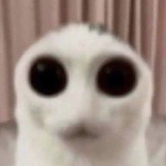 Chimi