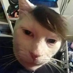 bỏ ff lm lại cđời😪