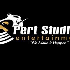 Pert Studioz Entertainment