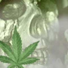 GRANNY FARD MCBOBUX 2