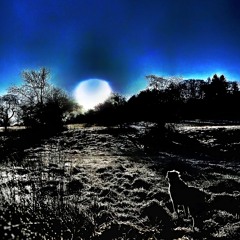 :( :/ :)@tea-snuggery