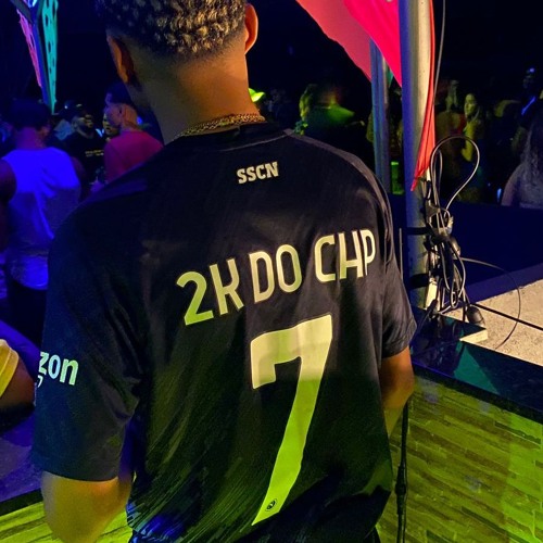 MC SWINGADA PUTARIA NO 100 TERRA CK = 2K DO CHAPADÃO