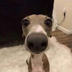 Hehehe