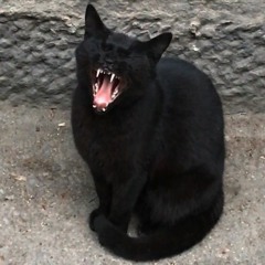 MegC