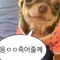 말랑전기톱