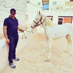 Akhunzada Adeel
