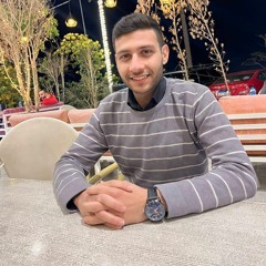 Hossam M Elaithy