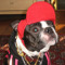 Lil Doggy Dog