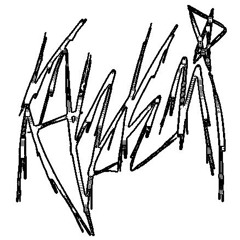 KAWAII (@kxwxiidxmxn)