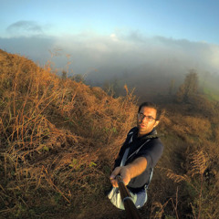 Alireza