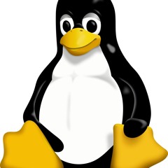 sudo