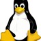 sudo