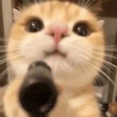 Funk Energy Adrenaline.mp3