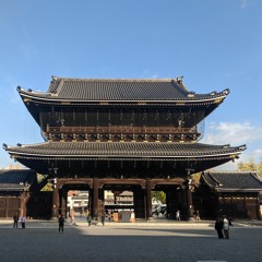 Tim in the Timbs - A Podcast by Tim Entwistle