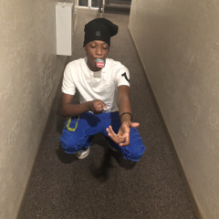 Zfrmsnakegang