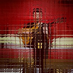 tylerashtongallardo