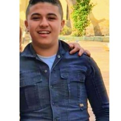 محمود فاروق سيد فاروق