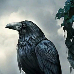 User 102061923
