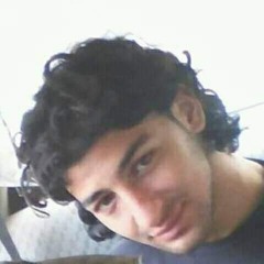 Ahmed Elziady