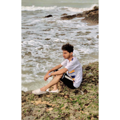 Hassnain Aly
