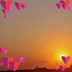كمال الشريف