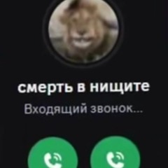 Темный газонюх