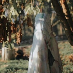Hagar Elsayed