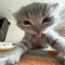zeoo,`
