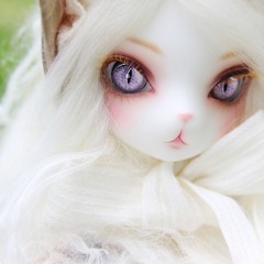 kitty