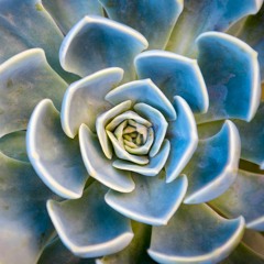SW