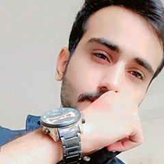 MALIK Salman