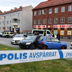 svensken