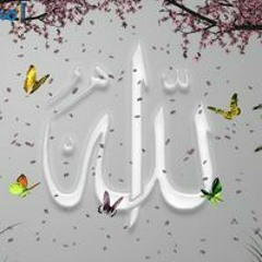 أميره عبدالله