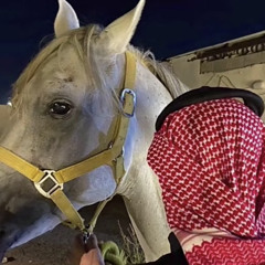 ضاري البرازي