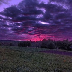 si vis pacem, para bellum