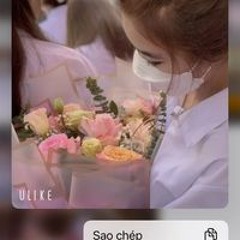 Diep Anh