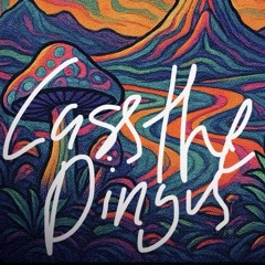 cassthedingus