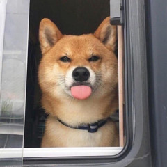 얍