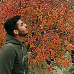 mohsen lotfollah