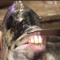 yooo