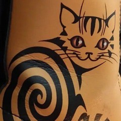 le chat élastique