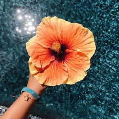 ☀️🏖️🌊