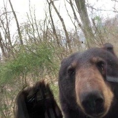 TeddyRawr XD ฅʕ⁠´◍•⁠ᴥ⁠•◍`⁠ʔฅ