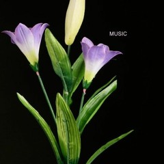 Music is Way of Life